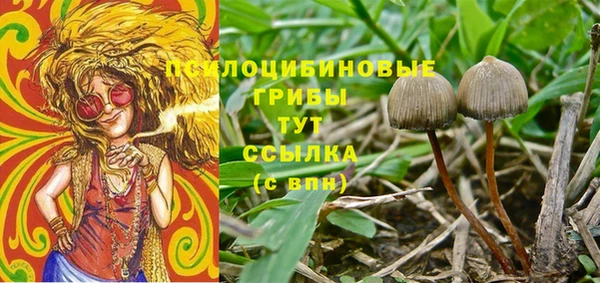 бошки Алексин