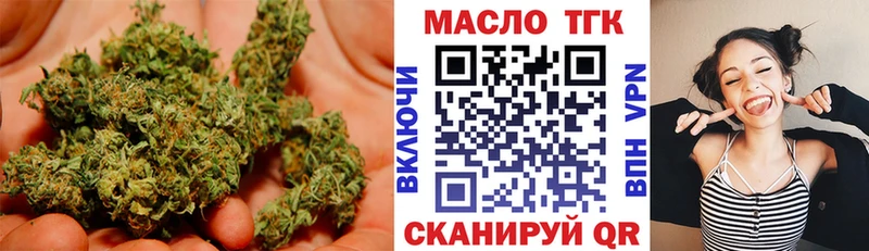 МЕГА ТОР  как найти   Звенигород  ТГК концентрат 