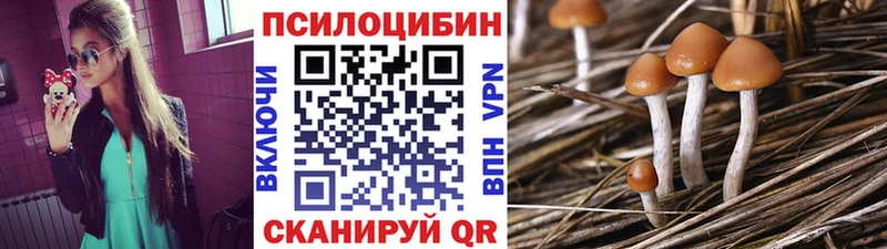 Галлюциногенные грибы Psilocybe  цена наркотик  Звенигород 