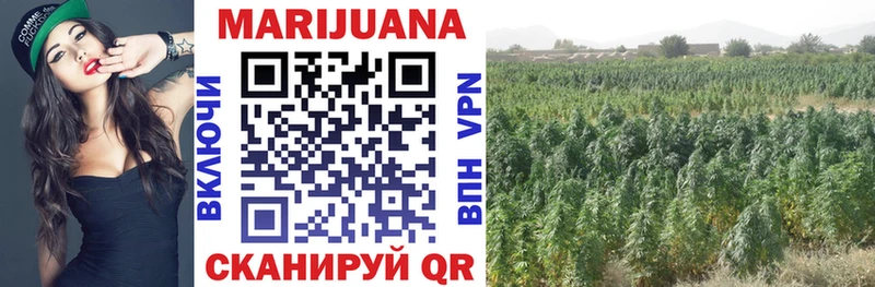 Бошки Шишки SATIVA & INDICA  Звенигород 